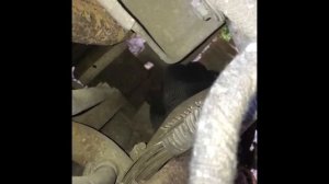 Замена датчика скорости. Калина 1.