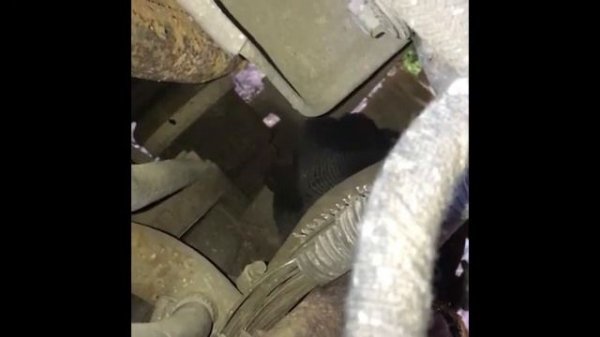 Замена датчика скорости. Калина 1.