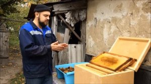 Самый верный способ сохранить сушь зимой от моли и мышей. Где хранить сушь? Защита сотохранилища