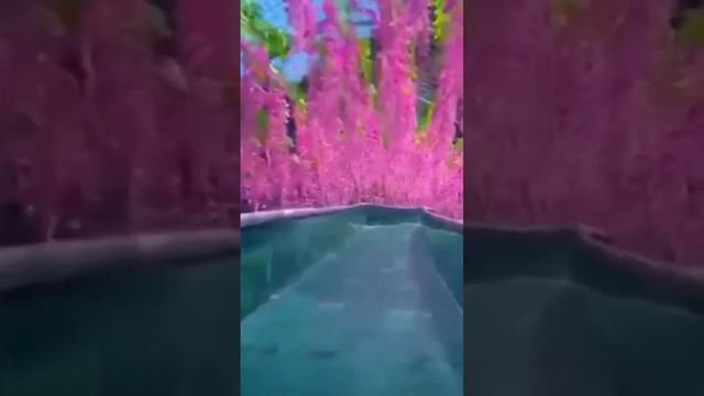 А вы прокатились бы?)) Самая длинная водная горка. Китай смотреть онлайн