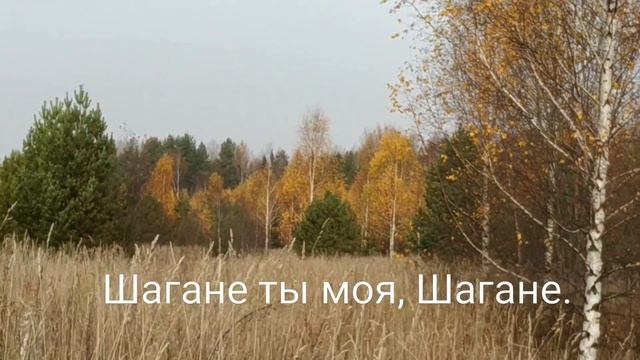 Стихи Сергея Есенина, для изучения в 8-м классе. Читает Нина Зорихина смотреть онлайн