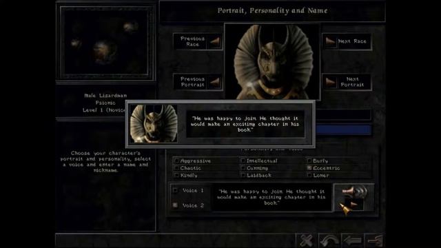 Wizardry 8 - Part 0 - "Making the Heroes" смотреть онлайн