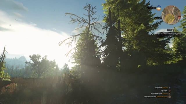Ведьмак 3 Дикая Охота PS4 медитация стоя смотреть онлайн