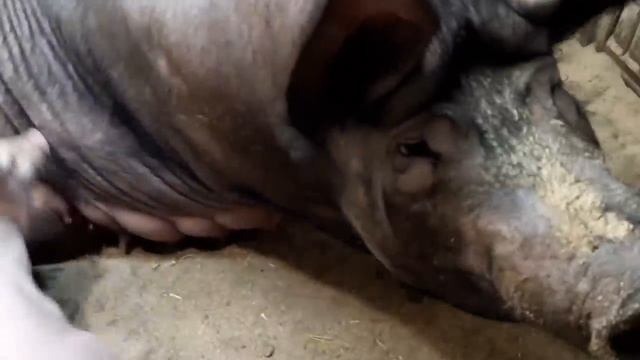 //Бросила детей непопрощавшись//Красуня как модель// смотреть онлайн