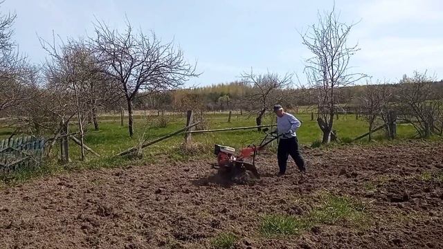 ВЕСЕННИЙ ДЕНЬ , ГОД КОРМИТ. смотреть онлайн