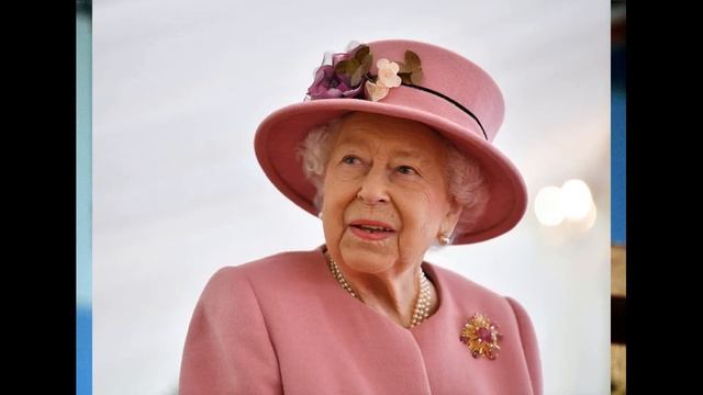 Роза Fisherman's Friend. Розы Остина. Что в имени твоем?! Часть 24. смотреть онлайн