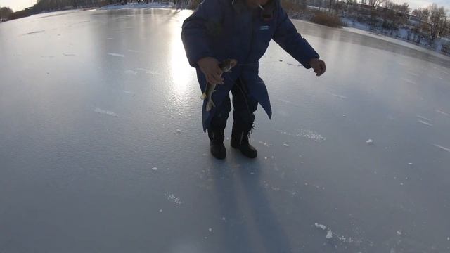 Щука на жерлицы г.Мозырь Беларусь смотреть онлайн