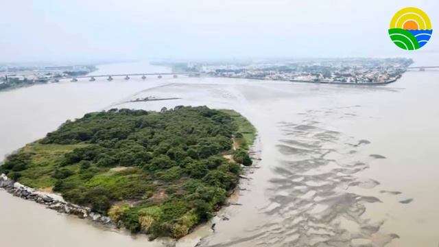 Control de malezas, exportaciones agrícolas y mucho más en Nuestras Riquezas смотреть онлайн