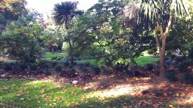 Battersea park -London 2020 | London walk | A beautiful afternoon at Battersea Park | Londoners pag смотреть онлайн