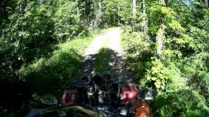 Покатушка на квадроциклах