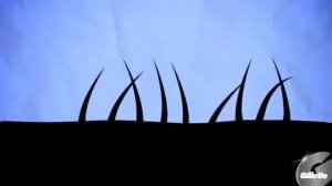 Как брить пах  Совет от Gillette