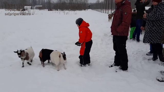 ВИДЕОРОЛИК ЮЛИИ КОНДРАШОВОЙ смотреть онлайн