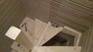 Как сделать деревянную винтовую лестницу своими руками