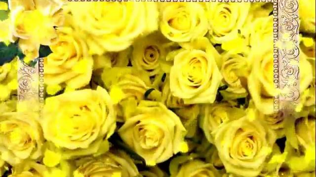 МИЛЛИОН АЛЫХ РОЗ ! смотреть онлайн