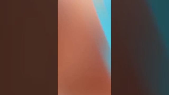 VID_20230515_114726_850.mp4