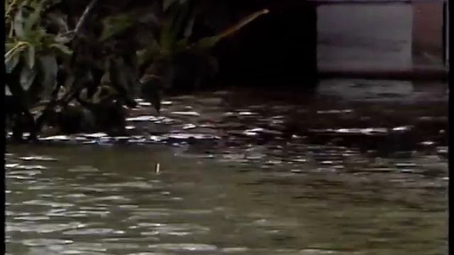 Go Fishing John Wilson Carp Series 1 Episode 6 смотреть онлайн