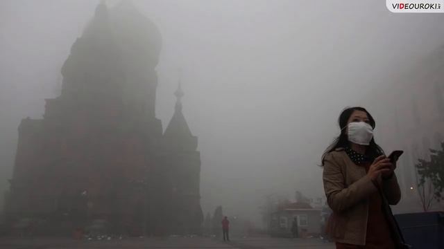 Видеоурок по географии "Человек и природа" смотреть онлайн