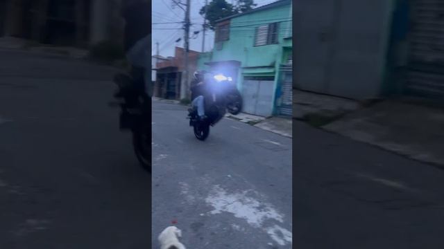 Fazer 600s #grau #244 #viral #yamaha #fazer600 смотреть онлайн