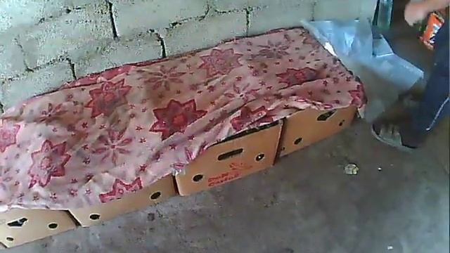 хранение огурцов после сбора смотреть онлайн