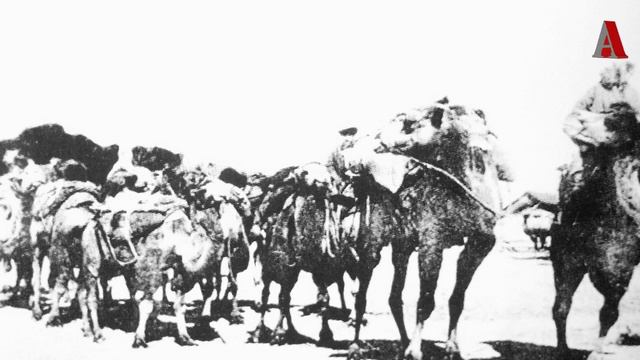 Как появились шуртвацы !!! смотреть онлайн