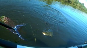 Рыбалка на Лаве 28 августа 2024