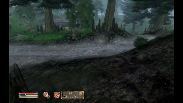 Прохождение игры Oblivion (100% сложность) Сезон 1 #5: Мазога Орк смотреть онлайн