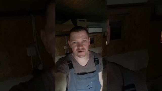 Совместная инкубация перепела и фазана. смотреть онлайн