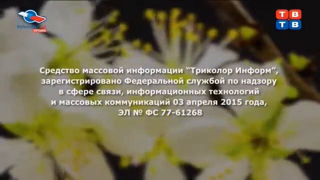 Свидетельство о регистрации (ТВ-ТВ, 23.04.2015 - 21.05.2018) Заставка смотреть онлайн