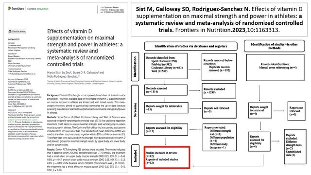 ВЛИЯНИЕ ДОБАВОК ВИТАМИНА D НА МАКСИМАЛЬНУЮ СИЛУ И МОЩНОСТЬ У СПОРТСМЕНОВ смотреть онлайн