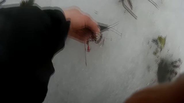 ЗАКРЫТИЕ ЗИМНЕГО СЕЗОНА 2016.ПОДВОДНАЯ СЪЕМКА. CLOSING of WINTER SEASON 2016 смотреть онлайн