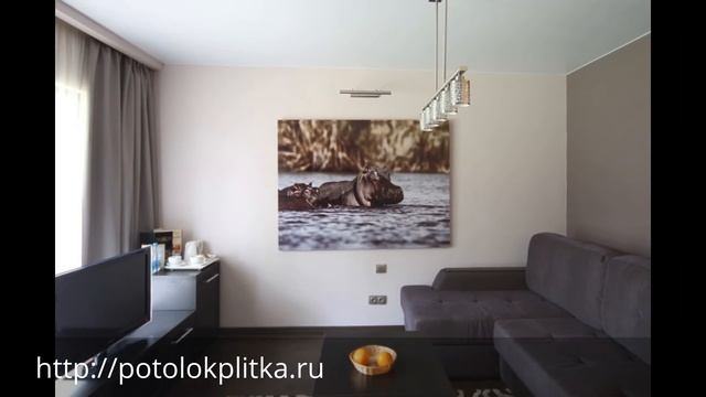 Одноуровневые матовые натяжные потолки в зал, компания «Строй Сервис»