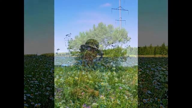 Галина Каменева Полевые цветы Л.Недостойная смотреть онлайн