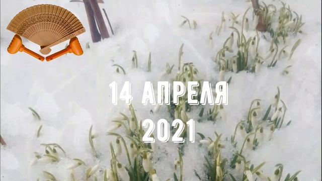 Грабли веерные Для любителей канала Грабли Лайф 14 04 21 смотреть онлайн