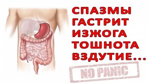 СЕРГЕЙ БУРДУК - БОЛЬ В ЖЕЛУДКЕ, ТОШНОТА, НЕВРОЗ, ВСД, ПАНИЧЕСКИЕ АТАКИ.