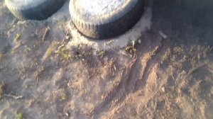 Бытовка из изотермической бутки/автофургона