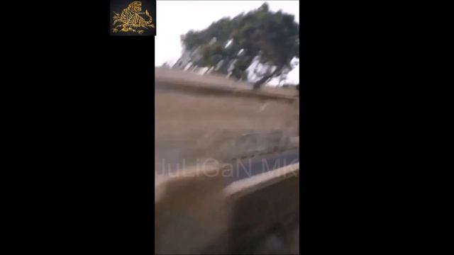 прогулка по Александрии. Египет - walk through Alexandria, Egypt смотреть онлайн