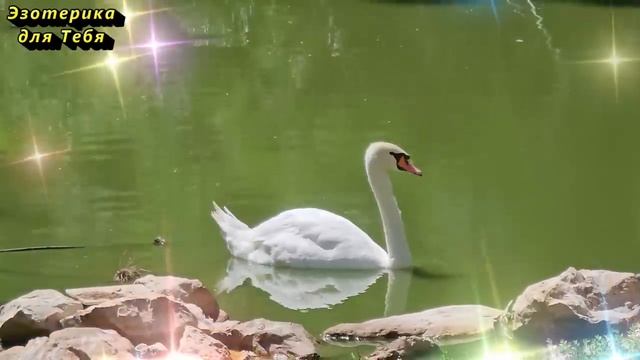 2 июля народный праздник день Зосимы Пчельника, день пасечника. Что нельзя делать. Приметы традиции смотреть онлайн