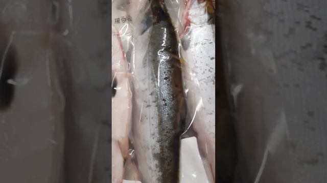 ?НЕРКУ НА ДЕФРОСТ ? #fish #рыба #2023 #заказ #копчениерыбы #вкусно #рыбалка #коптим #копчение смотреть онлайн