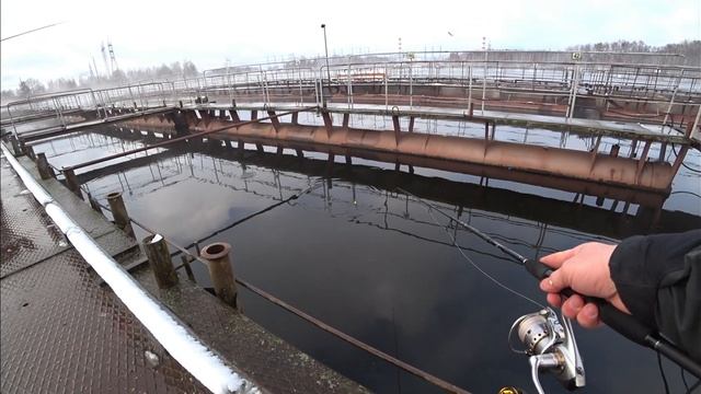 Рыбалка зимними удочками но по открытой воде. Клюют экзотические рыбки. смотреть онлайн
