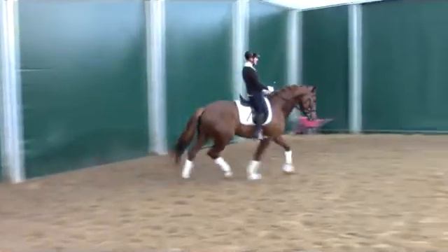 Kaliber DP- 2015, Glocks Toto Junior x Olivi смотреть онлайн