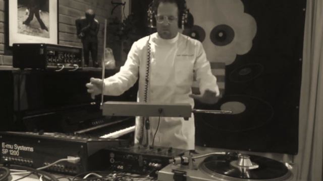 MOOG THEREMIN & ROLAND SPACE ECHO 201 смотреть онлайн