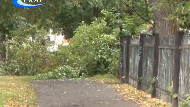 СУББОТНИК В ПРЕДДВЕРИИ ДНЯ ГОРОДА смотреть онлайн