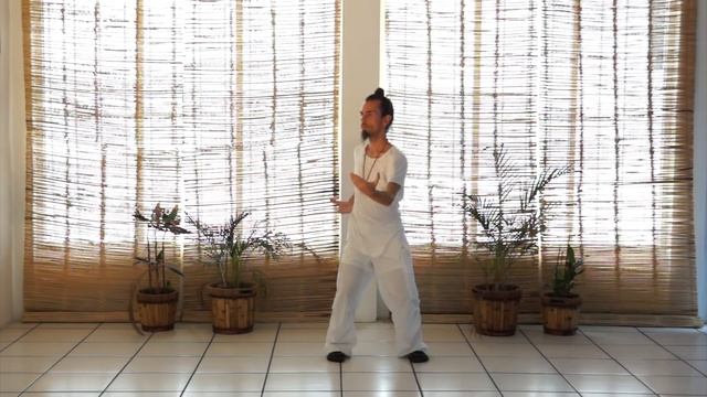 Taiji Qigong Shibashi Set 1