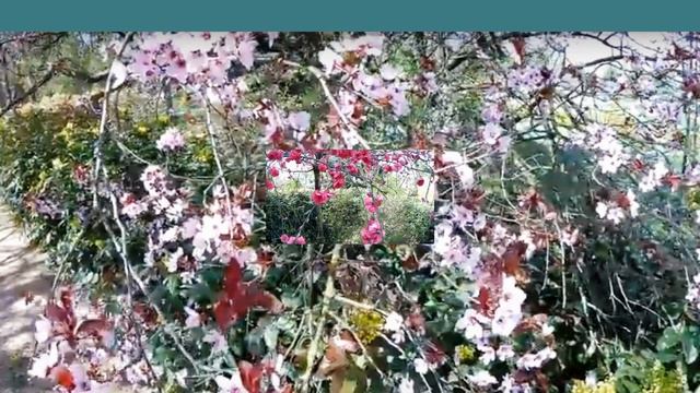 майские мотивы смотреть онлайн