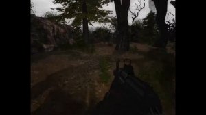 S.T.A.L.K.E.R. ОП - 2.1  Оружие для Креста