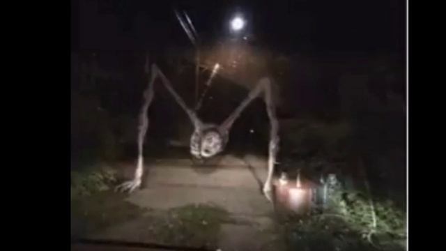 Существо с просёлочной дороги. Country road creature. Внешний вид, способности, личность. смотреть онлайн