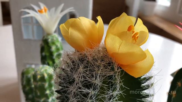 Искусственное растение в горшке ЦВЕТУЩИЙ КАКТУС, в асс., 24 см,800744-1, 800744-2, 800744-3,800744- смотреть онлайн