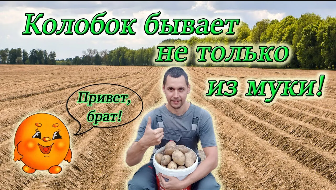 Копаем картошку/ Три сорта! Три результата! Из Столицы в Деревню смотреть онлайн