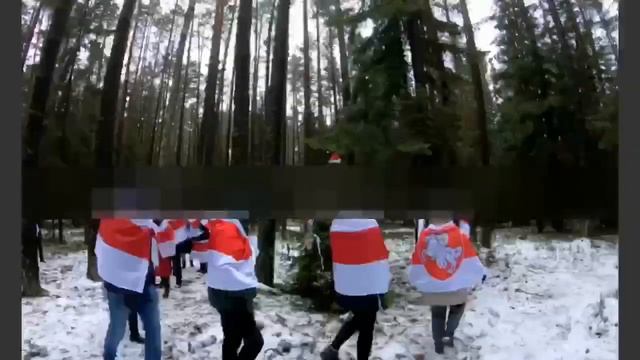 Беларусь. 31 Декабря 2020. Беларусы "поздравляют" лукашеску и его крыс с наступающим смотреть онлайн