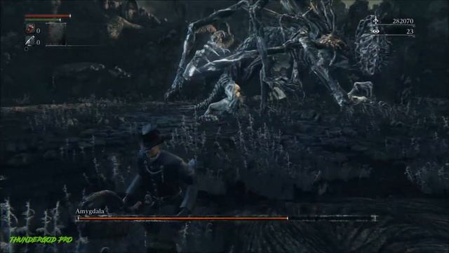 Amygdala NG+6 Level 4 No Sprint/Chalice Gems/Roll/Quickstepp/Runes/Buffs смотреть онлайн